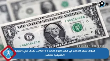 هبوط سعر الدولار في مصر اليوم الأحد 3-8-2025.. تعرف على القيمة الحقيقية للخضر